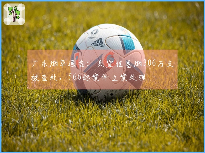 广东烟草通告：美宜佳卷烟306万支被查处，566起案件立案处理