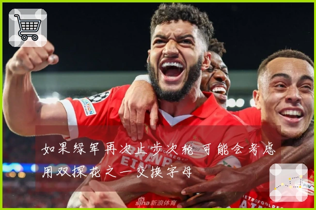如果绿军再次止步次轮 可能会考虑用双探花之一交换字母