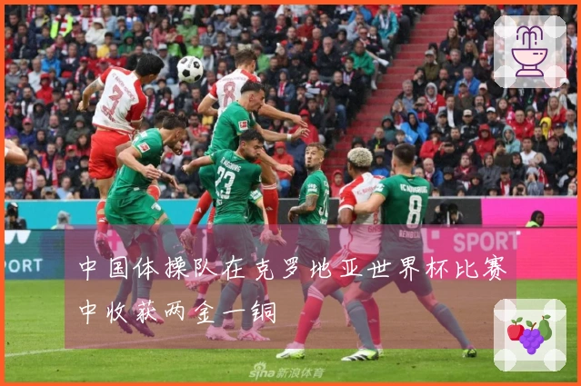 中国体操队在克罗地亚世界杯比赛中收获两金一铜